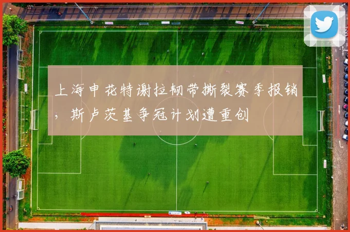 上海申花特谢拉韧带撕裂赛季报销，斯卢茨基争冠计划遭重创